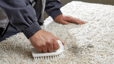 Professional Rug Cleaning Charlemont
